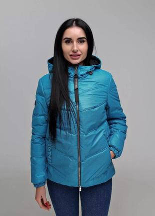 Куртка в-1237 art.102008 d тон 509 + тон 21