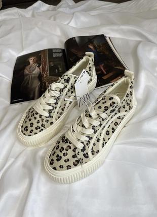 Кеди zara