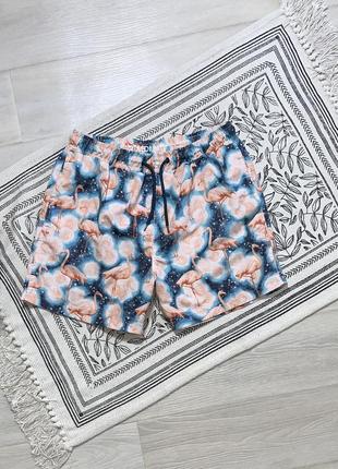 Шорти cedarwood state (m)