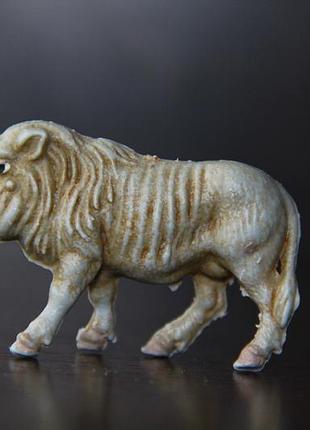 Кабан бородавочник тварини plaho-marolin гдр