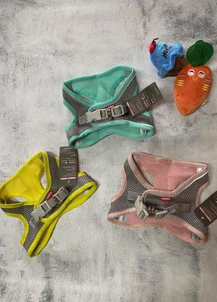 Шлея для собак