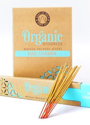 Organic goodness masala 15 грамм наг чампа bm