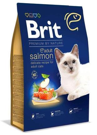 Cat lovers are always looking for an excuse to buy something cat themed 154760161 brit premium cat adult salmon 8 1500