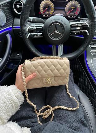 Beige mini 21х13х6