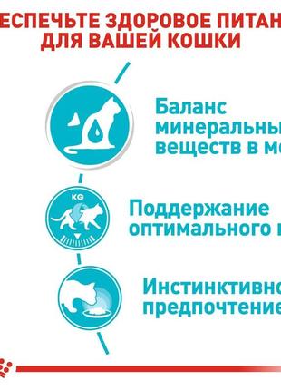 Royal canin urinary care gravy (роял канин уринари кер) влажный корм ...