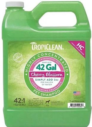 Шампунь суперконцентрат 1:42 для собак і котів tropiclean cherry blossom (тропиклін квіти вишні) 3.8 л