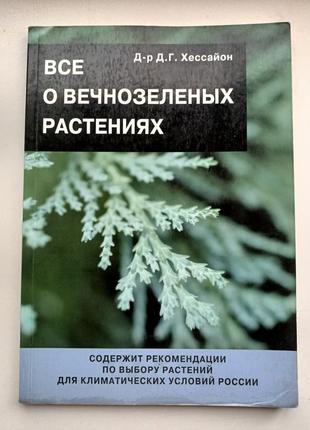 Все о вечнозеленых растениях