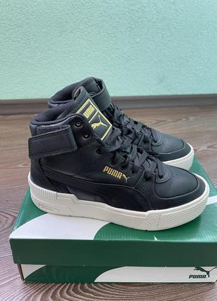 Хайтопи puma