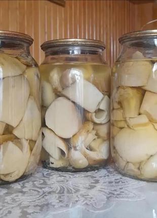 Белые маринованные грибы (закарпатские)