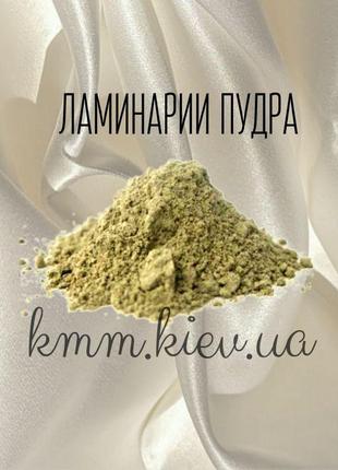 Ламінарії пудра - 10г