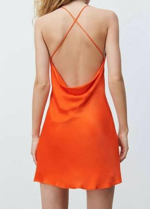 Сукня zara