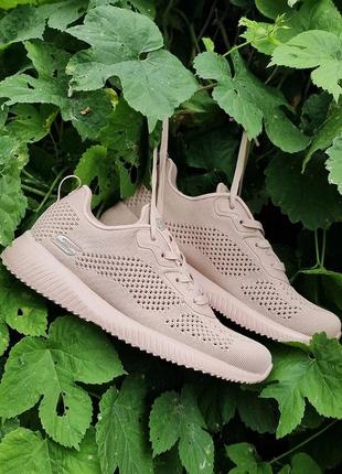 Кросівки жіночі skechers bobs squad ultra fresh оригінал.