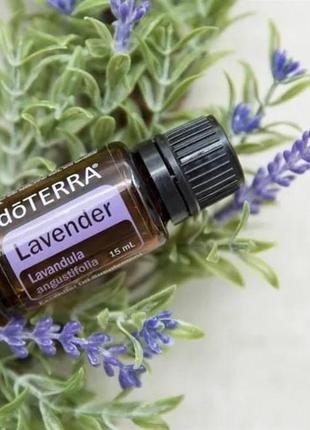 Ефірна олія dottera лаванда 15мл сертифікована однокомпонентна lavandula angustifolia dottera