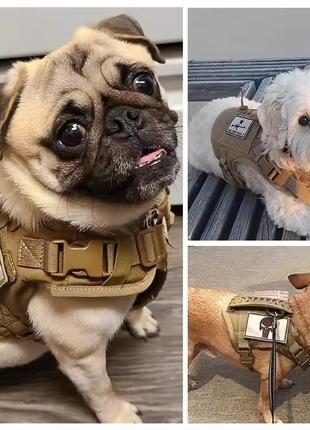 Тактичний жилет-шлейка для котиків та дрібних собак з ручкою, бежевого кольору4 фото