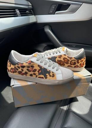 Кеды golden goose