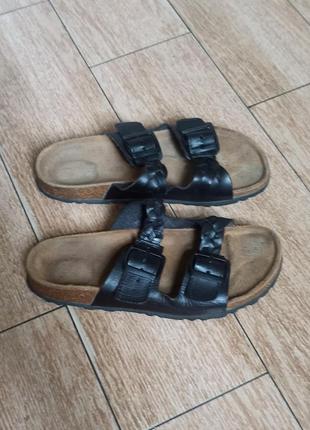 Шльопанці the shoe bear