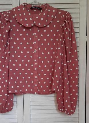 Рубашка в вышитый горошек с красивым скругленным воротничком во французском стиле zara4 фото