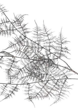 Декоративна гілка кіпаріс, 89см, колір - графіт з кольоровим гліттером - 12 шт упаковка товар від виробника