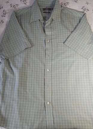 Сорочка чоловіча оверсайз фісташкова