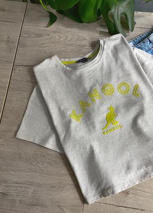 Стильная базовая оверсайз футболка kangol