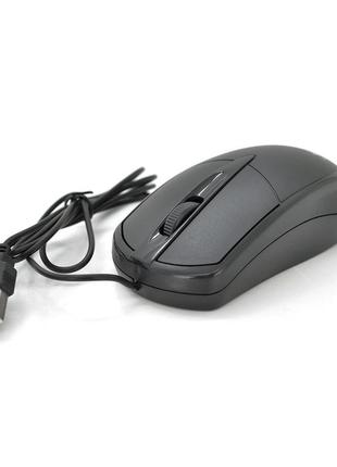 Миша дротова jedel cp72, q100
