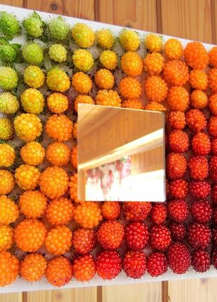 Декоративне дзеркало з малюнком "ягідки" ексклюзивний і стильний декор інтер'єру спальні, кухні, будинку, дачі