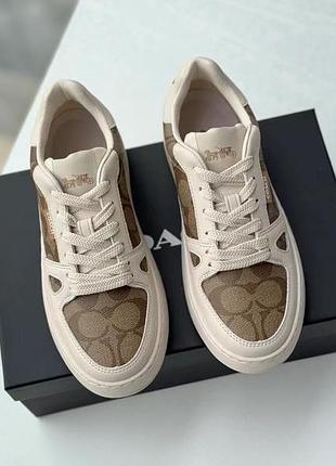 Кросівки коуч