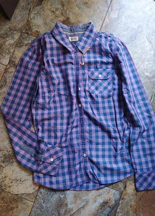 Жіноча сорочка tommy hilfiger