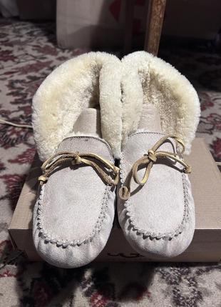 Черевики ugg