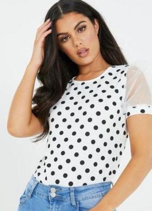 Гарна блуза горох з шифоновими фонариками рукавами