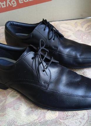 Шкіряні туфлі tu