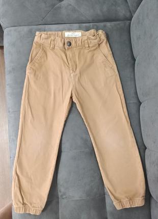 Джогери катонові для хлопчика