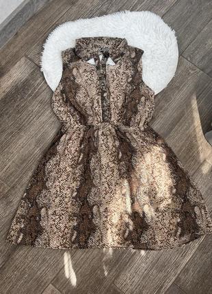 Платье платье платье шифон