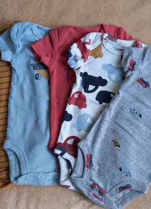 Бодики бодик боди