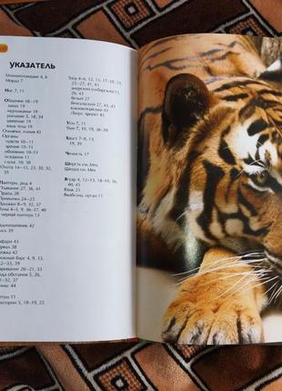 Детская энциклопедия большие кошки2 фото