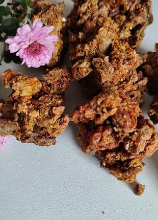 Прополис пчелиный