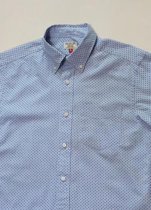 Ошатна приталена шведка / теніска в приємному кольорі від next