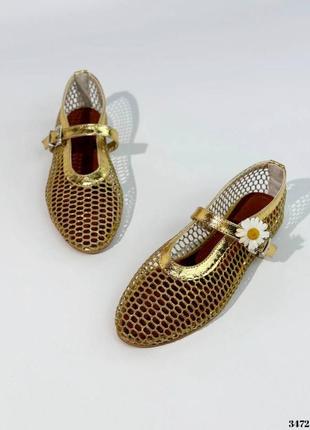 Балетки сеточка