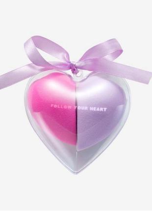 Набір спонжів