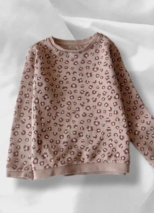 Світшот, кофта