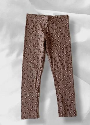 Легінси, лосини, штани