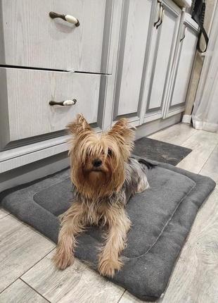 Лежанка для собаки, кота, лежак для собаки, кота, спальні місце меблева зносостійка тканина, спальне