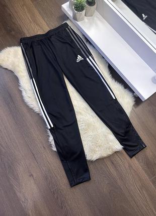 Спортивні штани adidas springs pp s