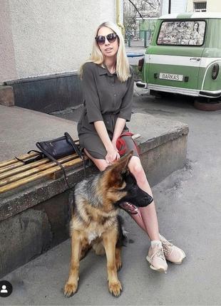 Сукня сорочка