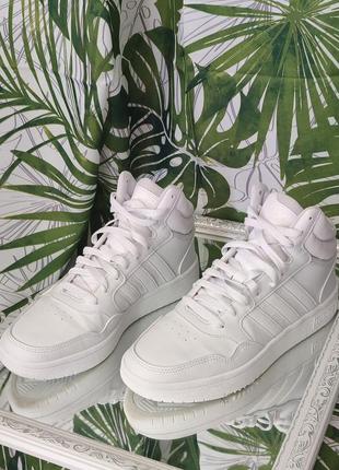 Кроссовки adidas hoops 3.0 mid classic shoes white gw54573 фото