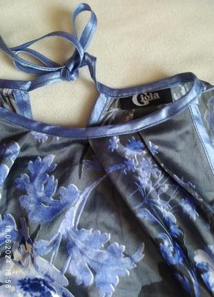 Блуза, кофтинка gioia 3