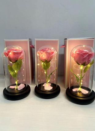Троянда в колбі під скляним куполом стабілізована квітка pink з підсвіткою велика1 фото