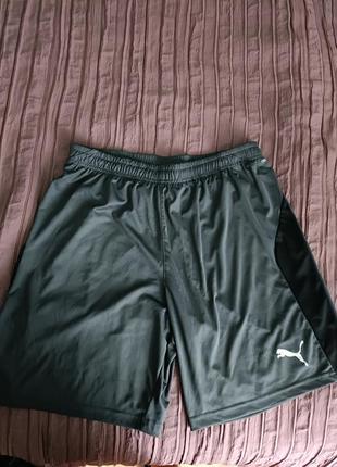 Облегченные дышащие оригинальные спортивные шорты puma
