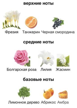 Hugo boss femme by boss