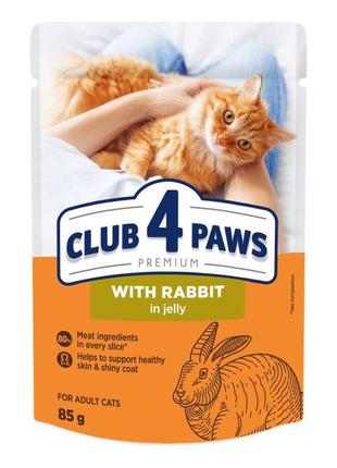 Акція клуб 4 лапи вологий корм для кішок з кроликом у желе 85 г — -18%